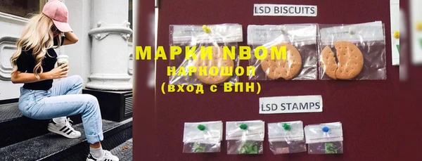 прущие грибы Абаза