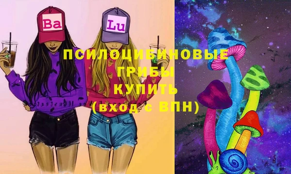 ешки Абинск