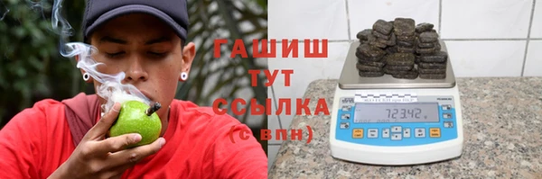 прущие грибы Абаза
