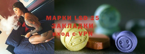 прущие грибы Абаза