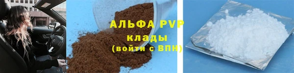 сатива Пересвет