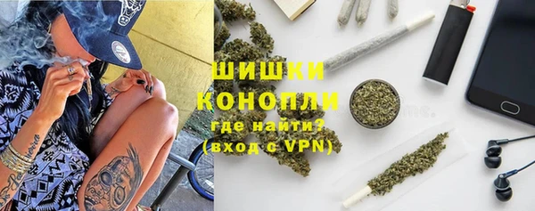 прущие грибы Абаза