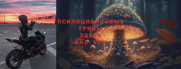 мяу мяу мука Осташков
