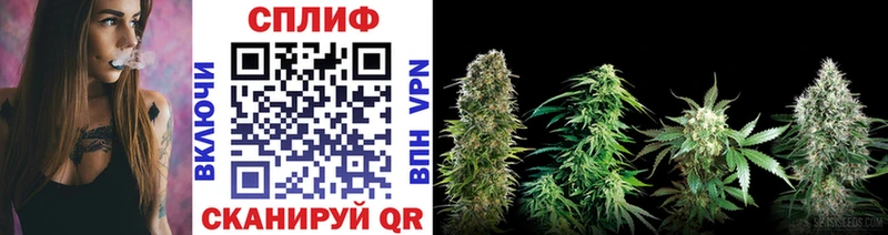 Канабис индика  Инта 